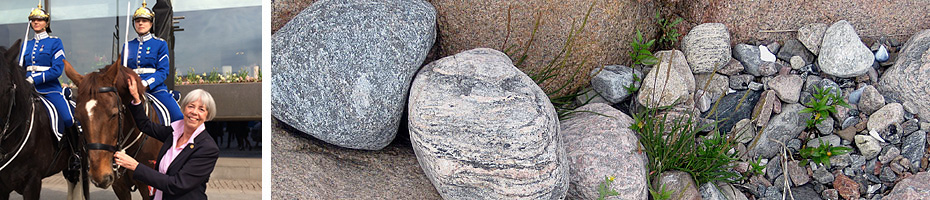 Sample header image