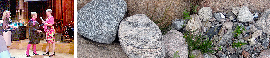 Sample header image
