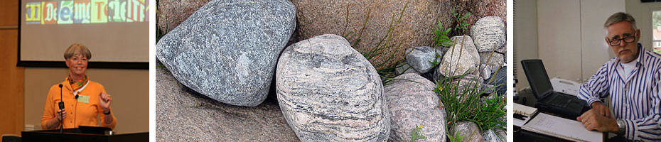 Sample header image