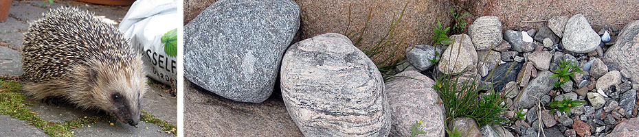 Sample header image